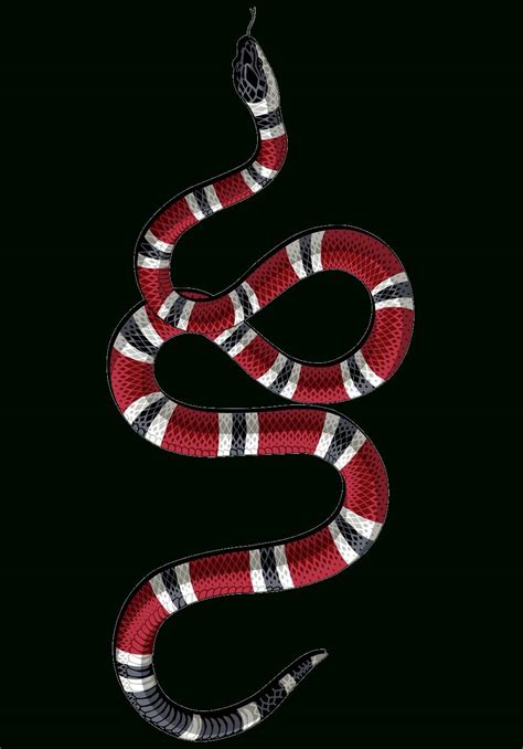 gucci wallpaper snake hd